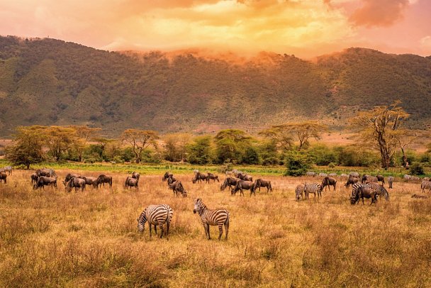 Abenteuer Tansania - Ngorongoro Krater