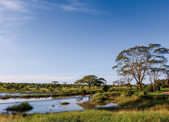 Abenteuer Tansania - Manyara Nationalpark