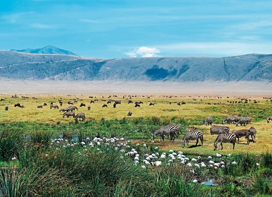 Abenteuer Tansania - Ngorongoro Krater