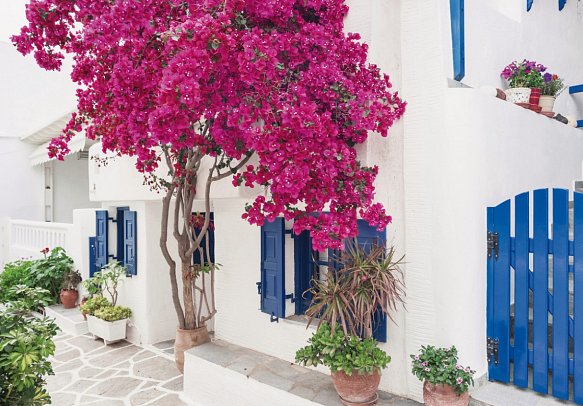 Kykladen-Inselhüpfen: Santorin, Mykonos, Paros, Naxos - Traditionelles Haus auf Paros