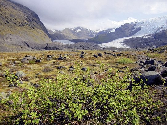 Rund um Island – Ringstraße und Snæfellsnes - Nationalpark Skaftafell