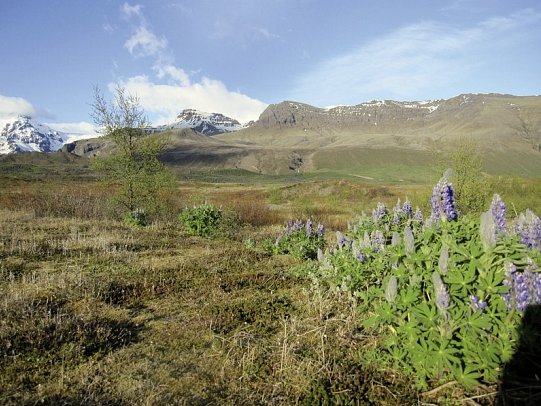 Rund um Island – Ringstraße und Snæfellsnes - Skaftafell Nationalpark