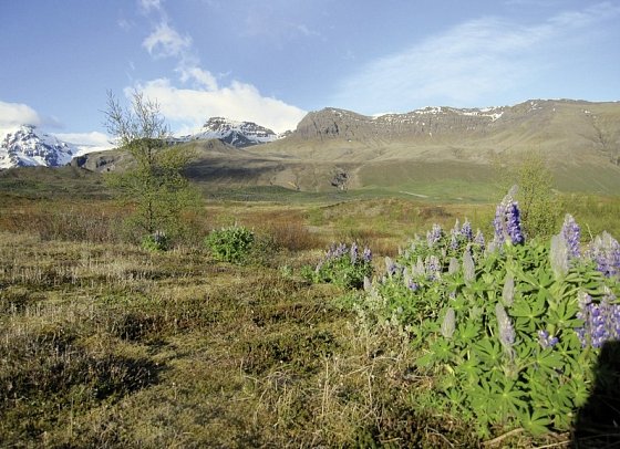 Rund um Island – Ringstraße und Snæfellsnes - Skaftafell Nationalpark