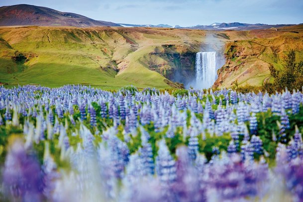 Islands Highlights - Skogafoss