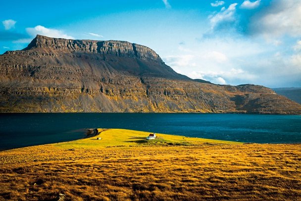 Island intensiv - Westfjorde