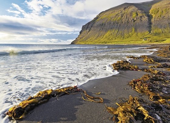 Island intensiv - In den Westfjorden