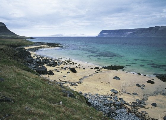 Island intensiv - Westfjorde