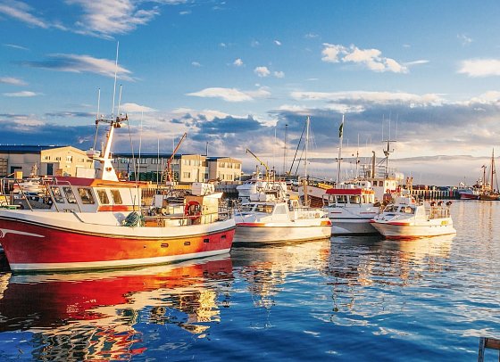 Hochland und Vulkane - Husavik