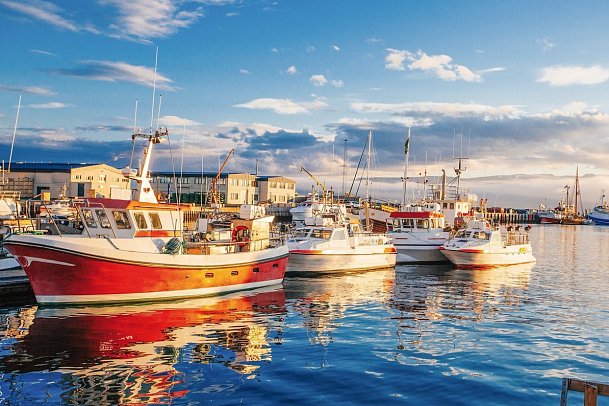 Hochland und Vulkane - Husavik