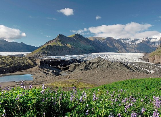 Hochland, Snæfellsnes und Küste - Skaftafell Nationalpark
