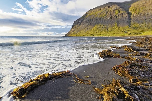 Rund um Island - Von den Westfjorden bis zur Gletscherlagune - In den Westfjorden