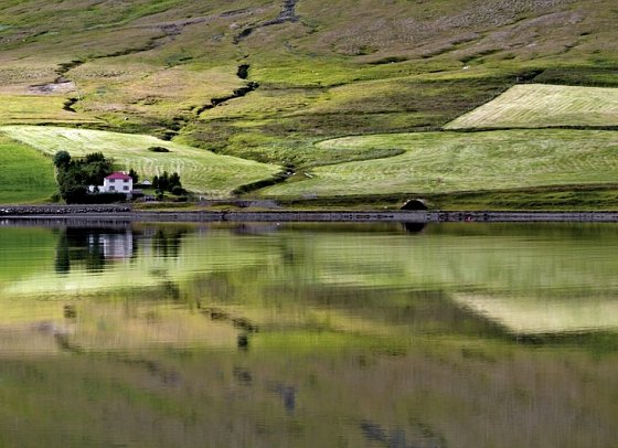 Panoramarundreise Island - In den Westfjorden