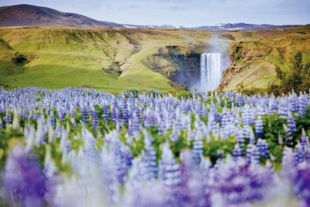 Island - ein Land zum Träumen - Skogafoss