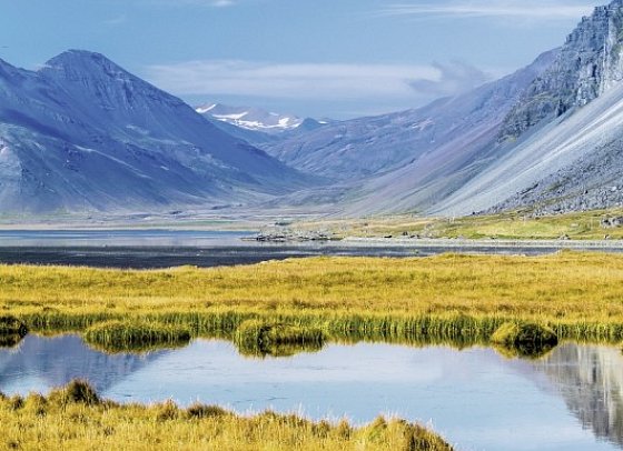 Island - ein Land zum Träumen - Südküste bei Höfn