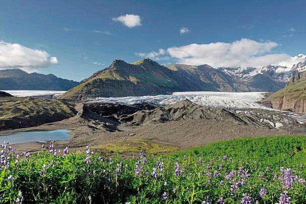 Islands Naturwunder mit dem E-Auto - Skaftafell Nationalpark