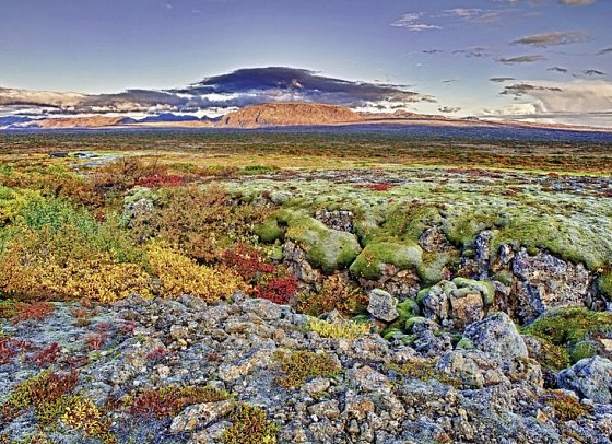 Islands Naturwunder mit dem E-Auto - Nationalpark Thingvellir