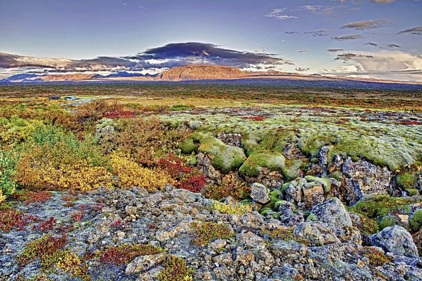 Islands Naturwunder mit dem E-Auto - Nationalpark Thingvellir