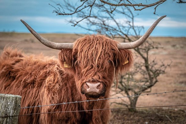Ferien- und Freizeitpark Weissenhäuser Strand