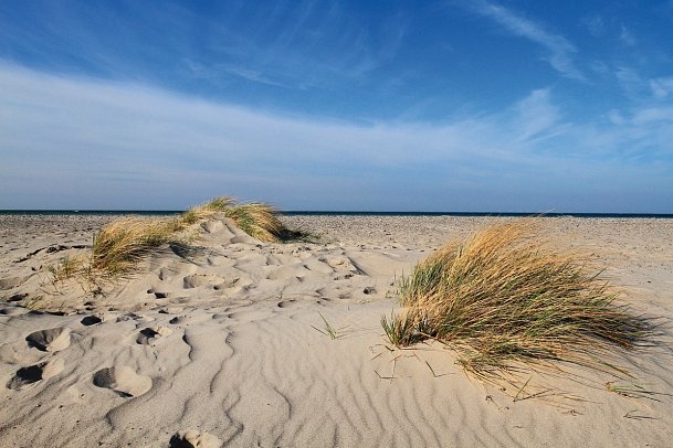 Hafenhotel Meereszeiten