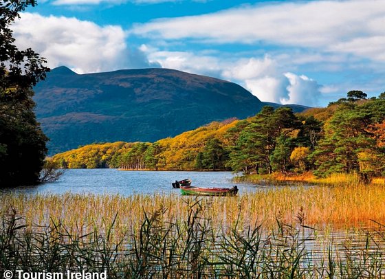 Höhepunkte rund um Killarney