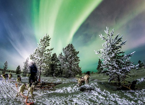 Kirkenes Snowhotel - Hundeschlitten-Safari