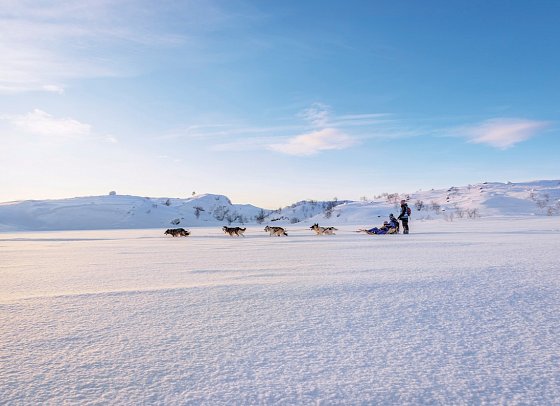 Kirkenes Snowhotel - Hundeschlitten-Safari