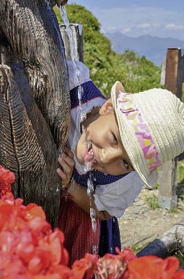 Familienhotel Hinteregger