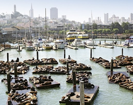 Las Vegas & die Nationalparks - Fisherman's Wharf, San Francisco