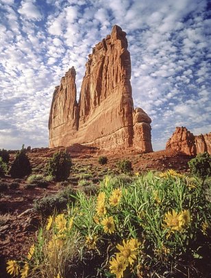 Las Vegas & die Nationalparks - Arches Nationalpark