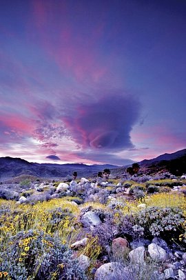 Las Vegas & die Nationalparks - Palm Springs