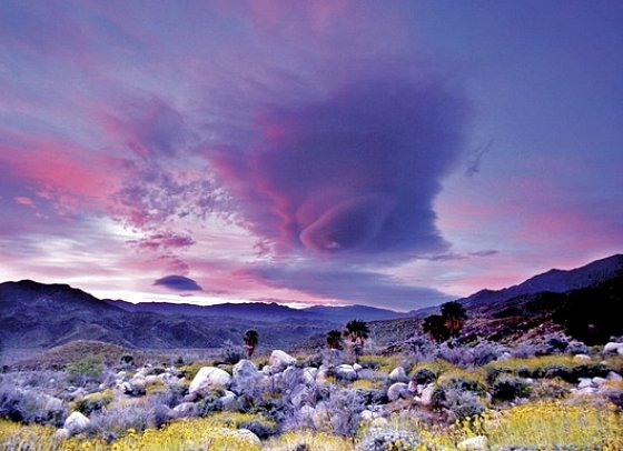 Las Vegas & die Nationalparks - Palm Springs