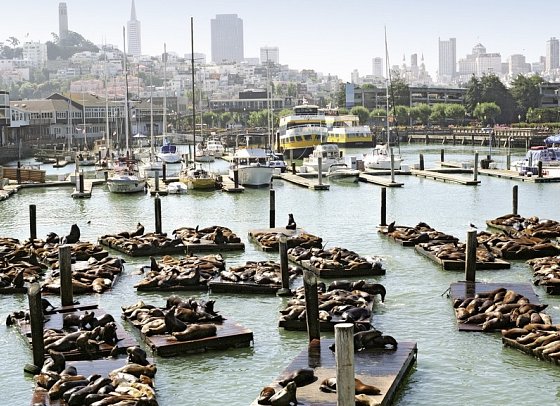 Las Vegas & die Nationalparks - Fisherman's Wharf, San Francisco