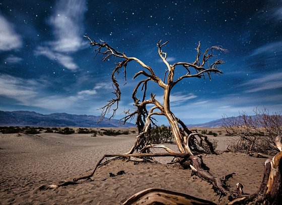 Las Vegas & die Nationalparks