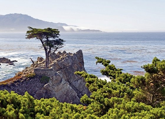 Western Experience - 17-Mile-Drive