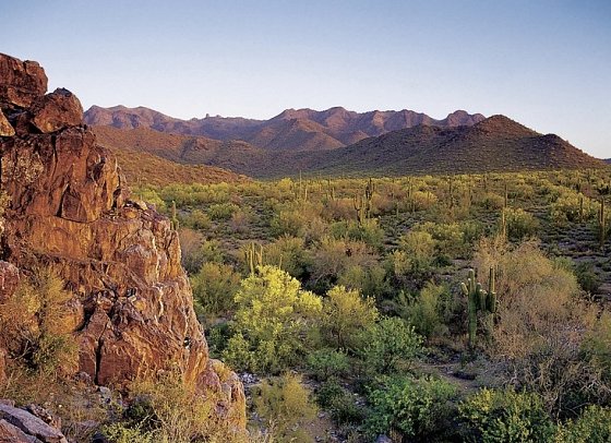 Great West - Landschaft bei Scottsdale