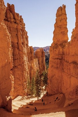 Der Amerikanische Westen - Bryce Canyon