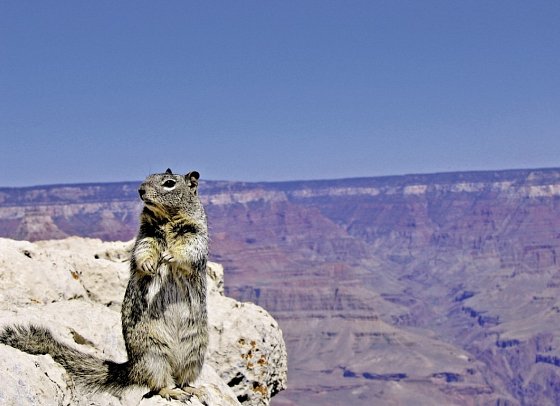 Das Beste vom Westen & Inselzauber Hawaii - Oahu (19 Nächte) - Grand Canyon Nationalpark