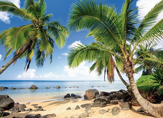 Das Beste vom Westen & Inselzauber Hawaii - Oahu (20 Nächte)