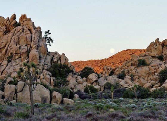 Wild West Feeling (7 Nächte) - Palm Springs