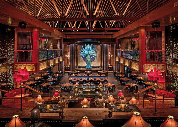 Dream Los Angeles Hollywood