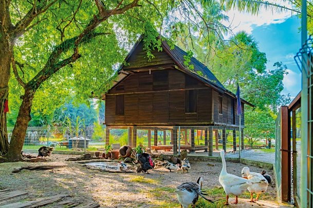 Pelangi Beach Resort & Spa