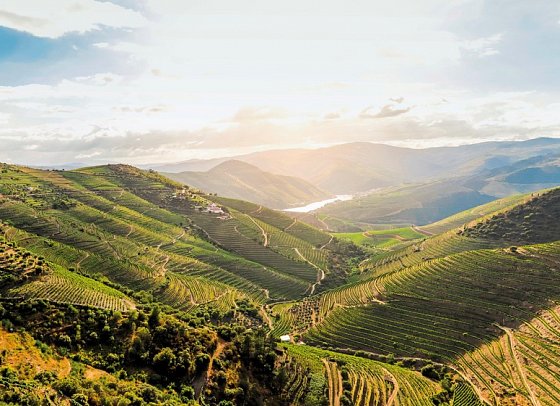 Portugal - Land der reizvollen Kontraste (10 Nächte, inkl. Mietwagen, ab Lissabon) - Douro-Tal