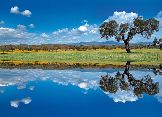 Portugal - Land der reizvollen Kontraste (10 Nächte, inkl. Mietwagen, ab Lissabon) - Alentejo