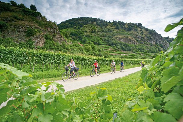 Passau-Budapest-Passau mit der MS Primadonna - Radfahrer in der Wachau