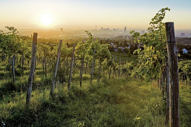 Donau-Radweg klassisch