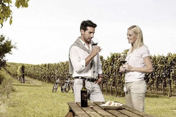 Donau-Radweg mit Charme