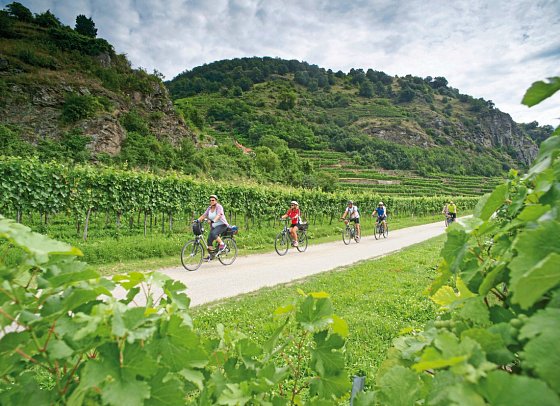 Donau-Radweg mit Charme - Radfahrer in der Wachau