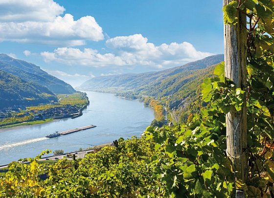 Donau Genießertour - Wachau