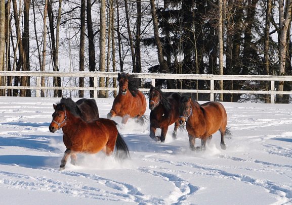 Aldiana Club Ampflwang