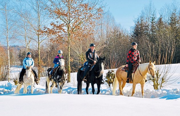 Aldiana Club Ampflwang